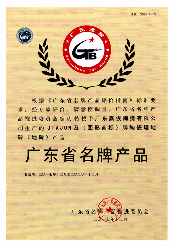 广东省名牌小蝌蚪黄APP下载（地砖）